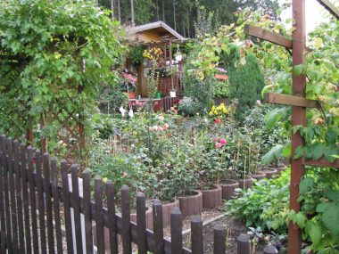 Impressionen Gartenanlage Bergidyll Flöha