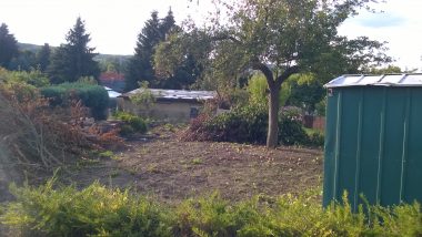 Beräumung eines leerstehenden Kleingartens